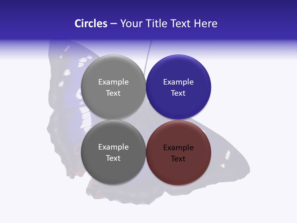 Nature Wildlife Blue PowerPoint Template