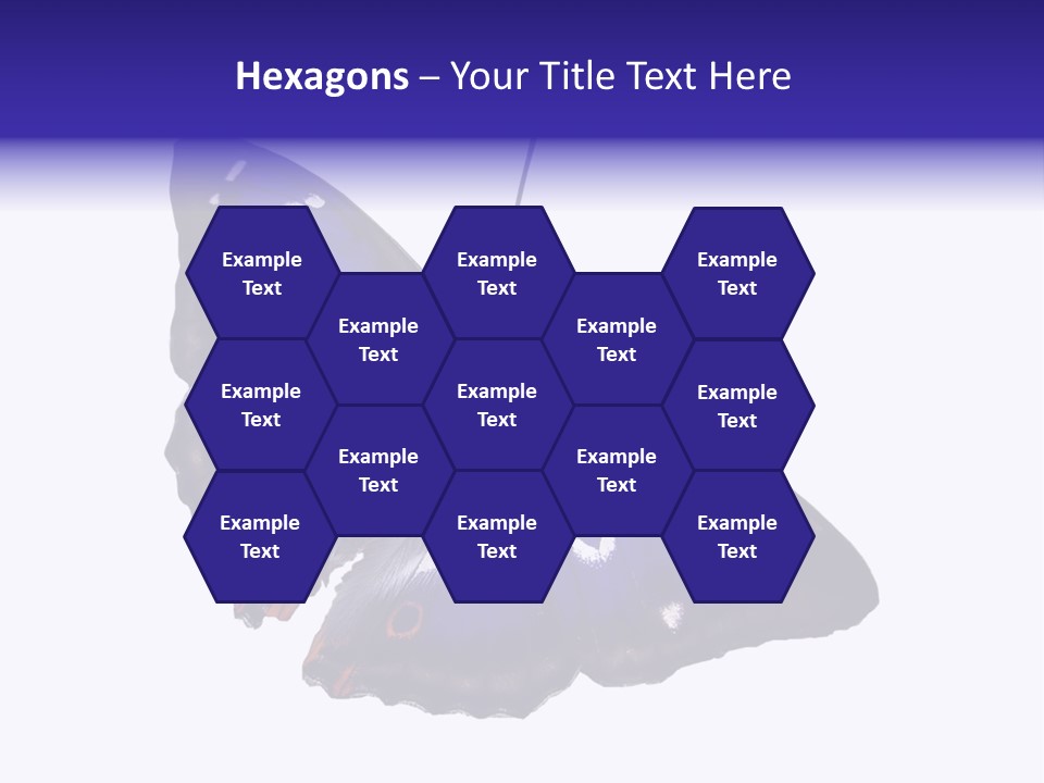 Nature Wildlife Blue PowerPoint Template