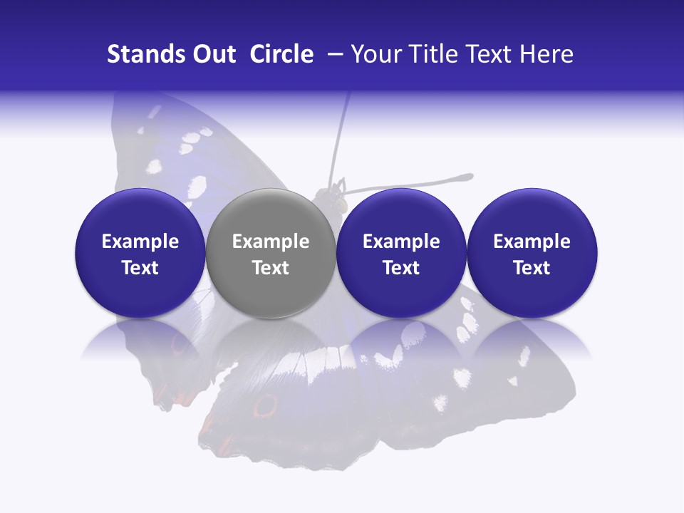 Nature Wildlife Blue PowerPoint Template