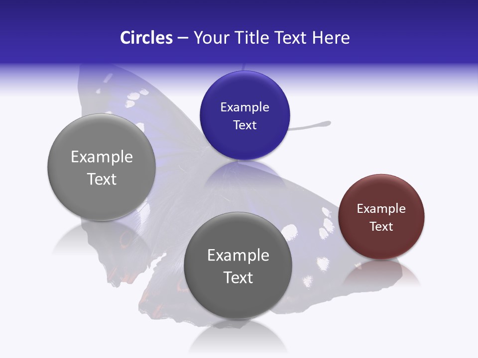 Nature Wildlife Blue PowerPoint Template