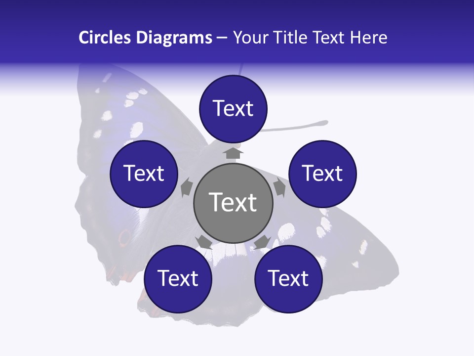 Nature Wildlife Blue PowerPoint Template