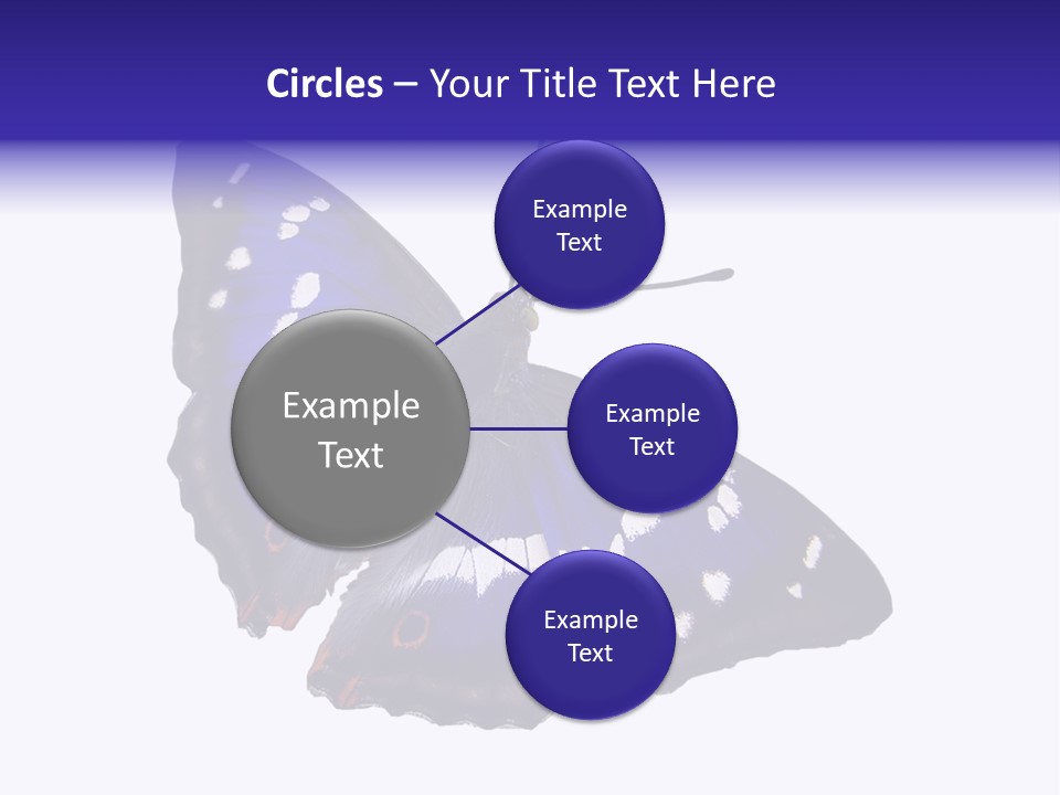 Nature Wildlife Blue PowerPoint Template