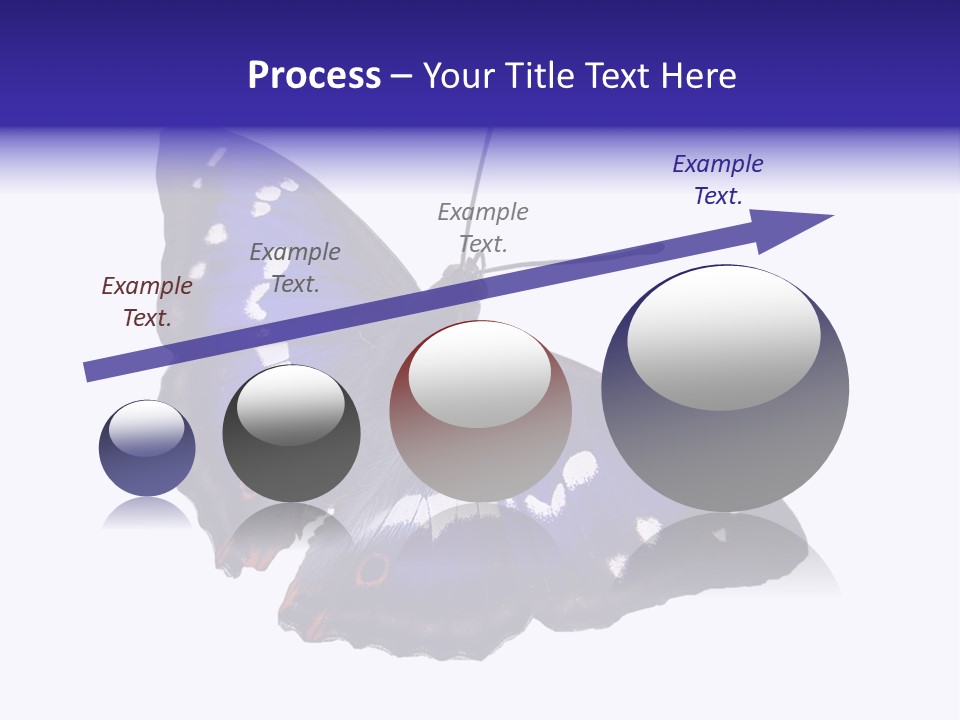 Nature Wildlife Blue PowerPoint Template