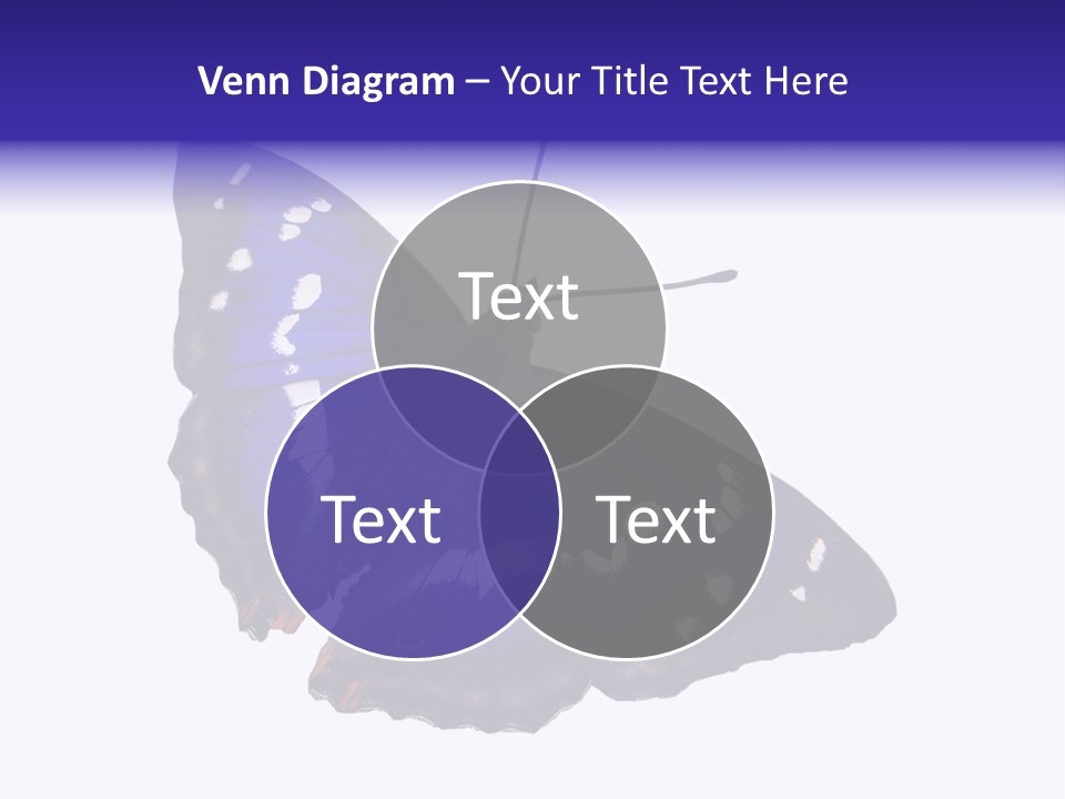 Nature Wildlife Blue PowerPoint Template