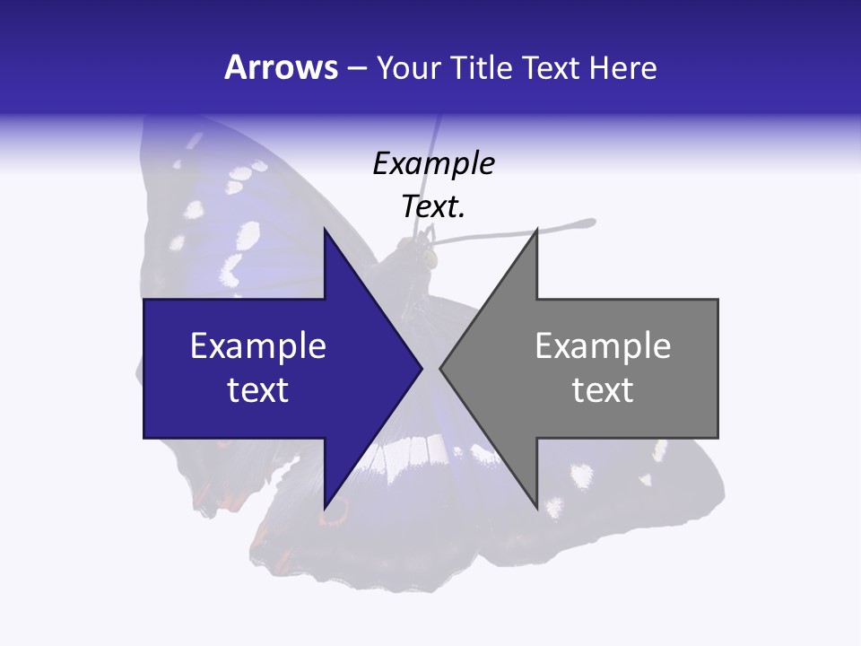 Nature Wildlife Blue PowerPoint Template