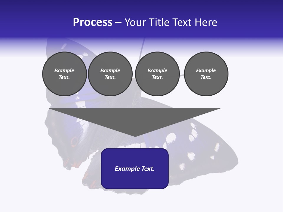 Nature Wildlife Blue PowerPoint Template