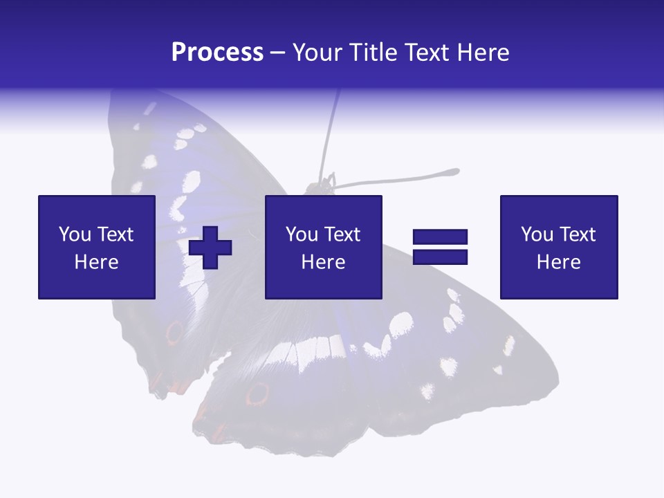 Nature Wildlife Blue PowerPoint Template