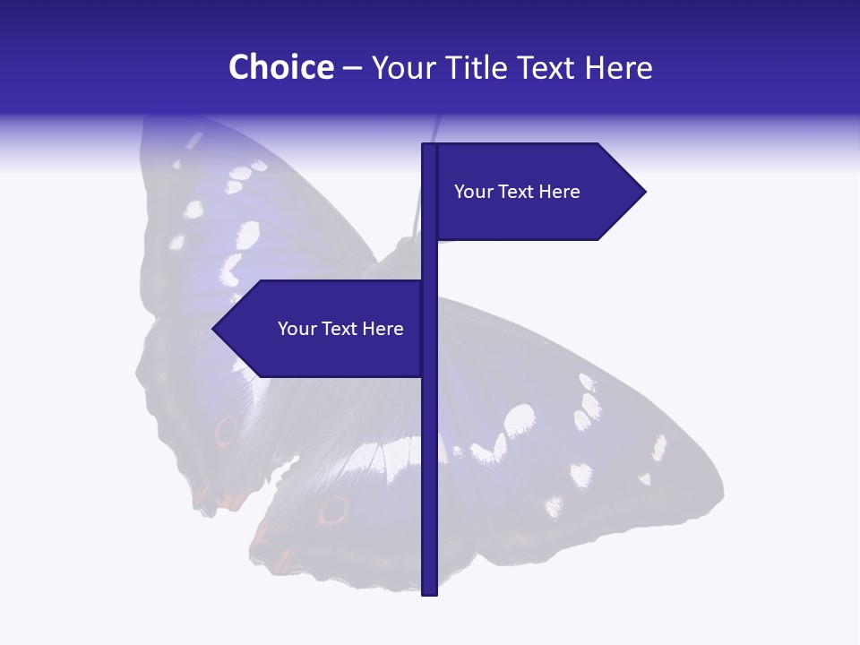 Nature Wildlife Blue PowerPoint Template