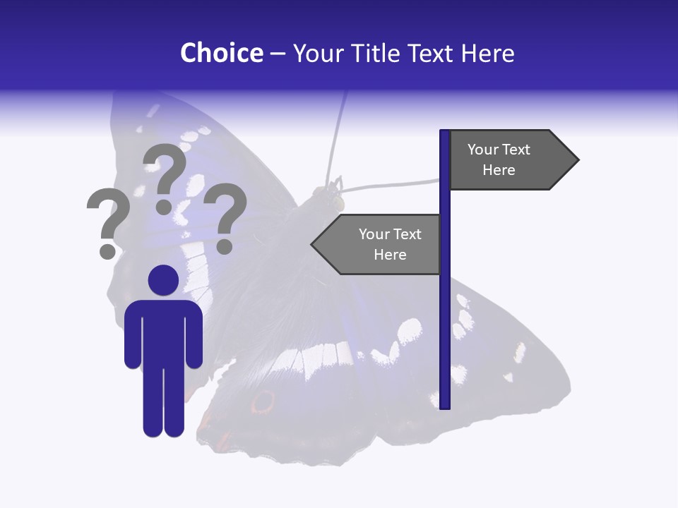 Nature Wildlife Blue PowerPoint Template