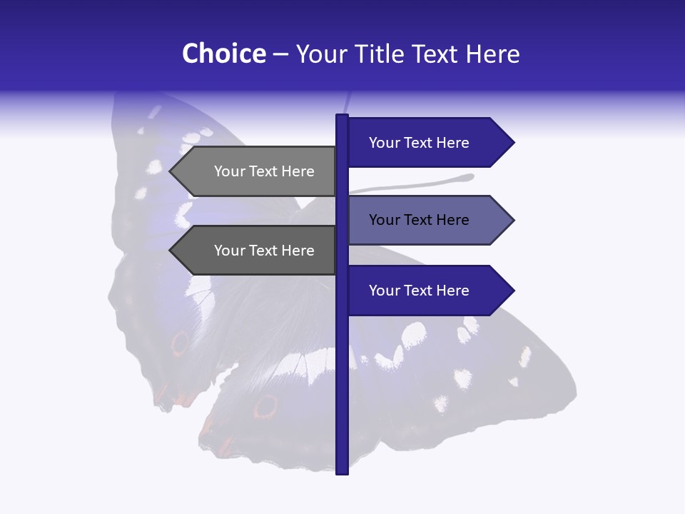 Nature Wildlife Blue PowerPoint Template