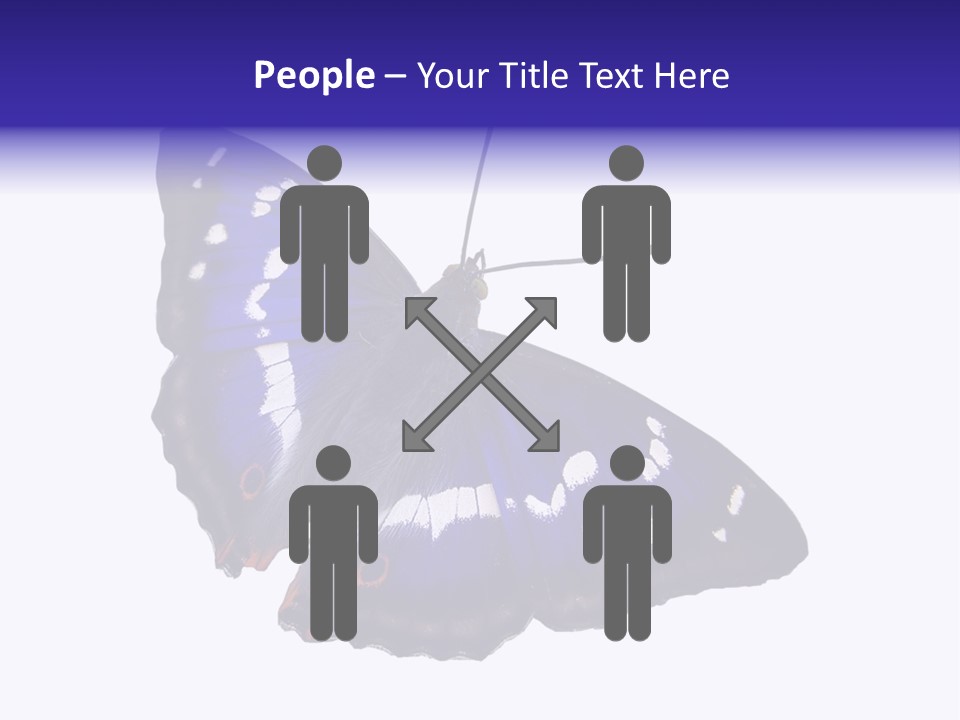 Nature Wildlife Blue PowerPoint Template