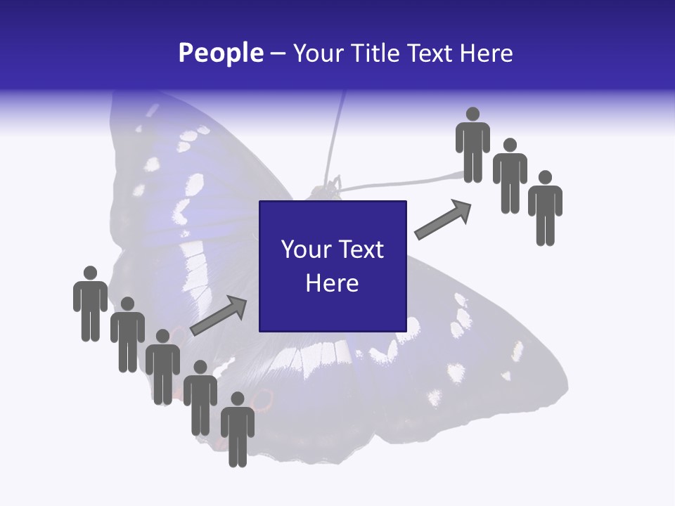 Nature Wildlife Blue PowerPoint Template