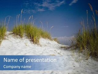 Sand Shore Florida PowerPoint Template