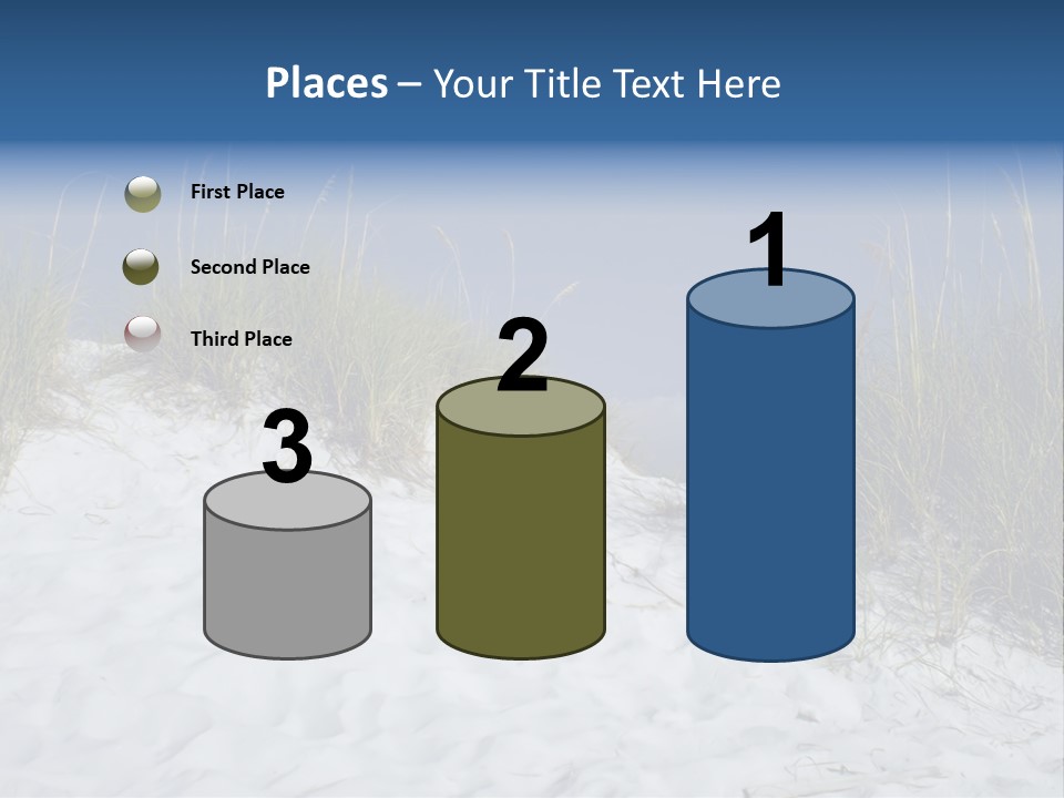 Sand Shore Florida PowerPoint Template