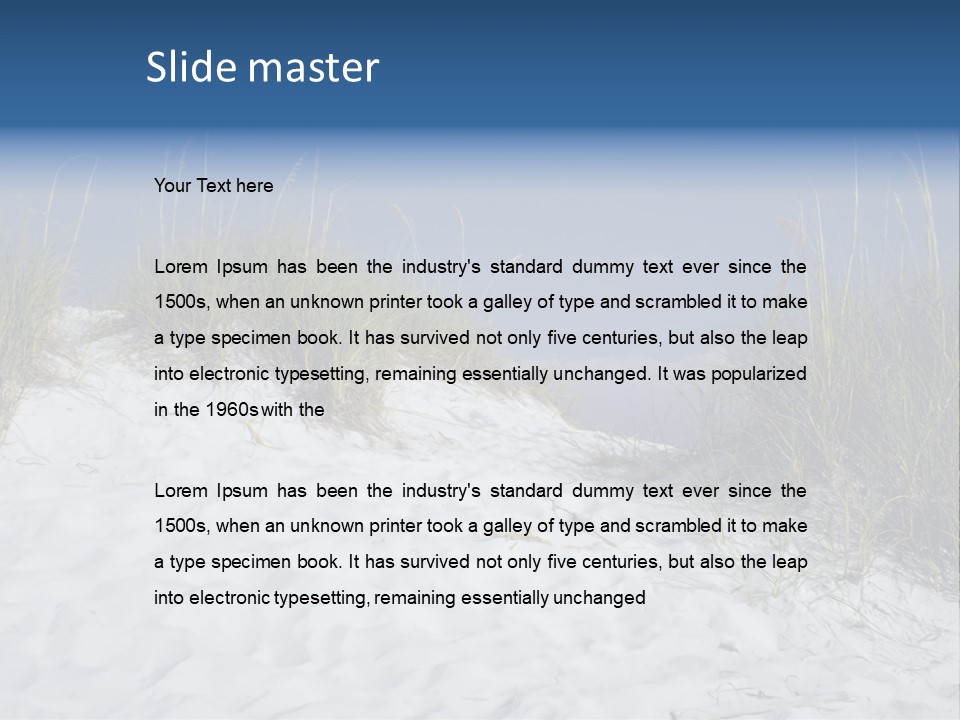 Sand Shore Florida PowerPoint Template