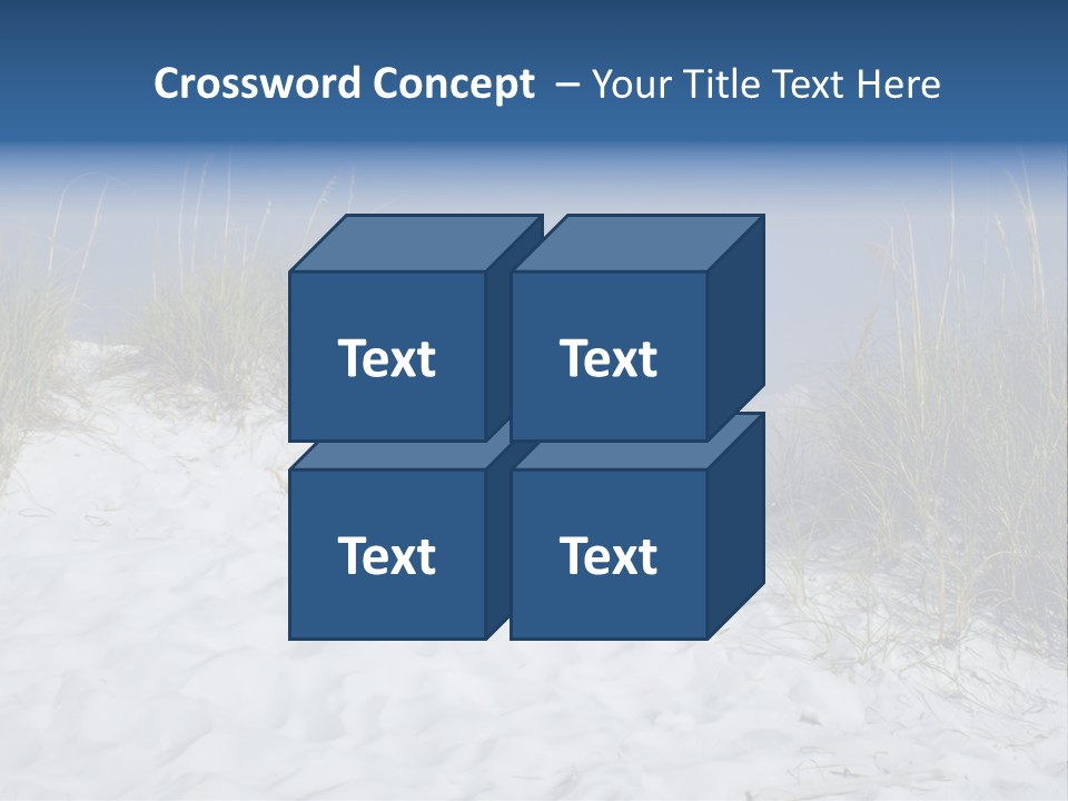 Sand Shore Florida PowerPoint Template