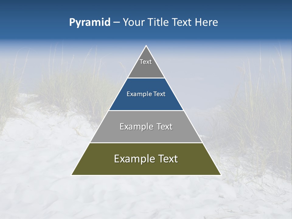 Sand Shore Florida PowerPoint Template