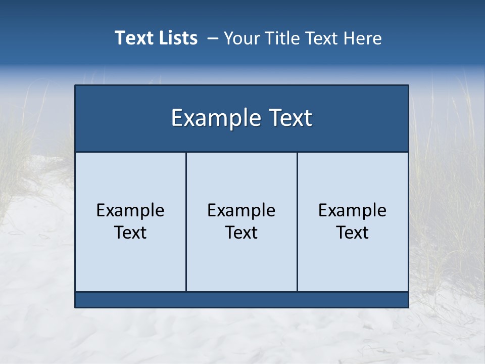 Sand Shore Florida PowerPoint Template