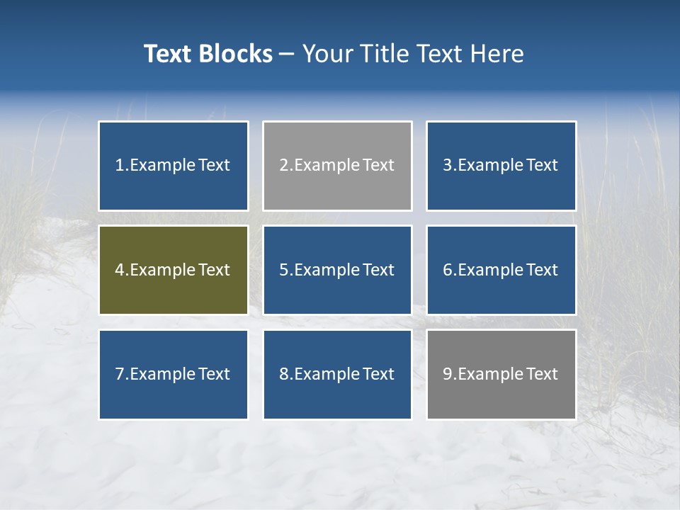 Sand Shore Florida PowerPoint Template