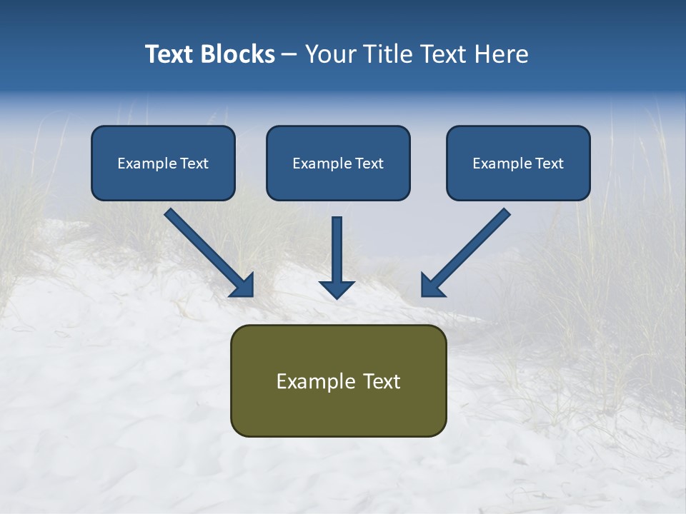 Sand Shore Florida PowerPoint Template