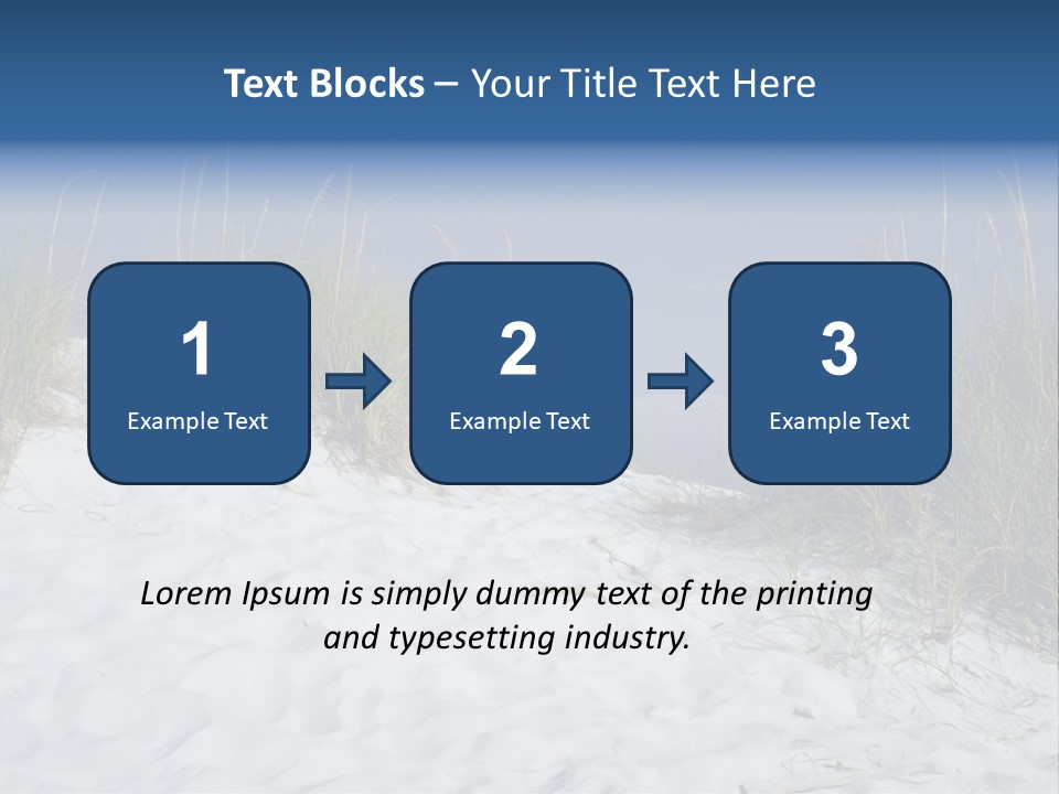 Sand Shore Florida PowerPoint Template