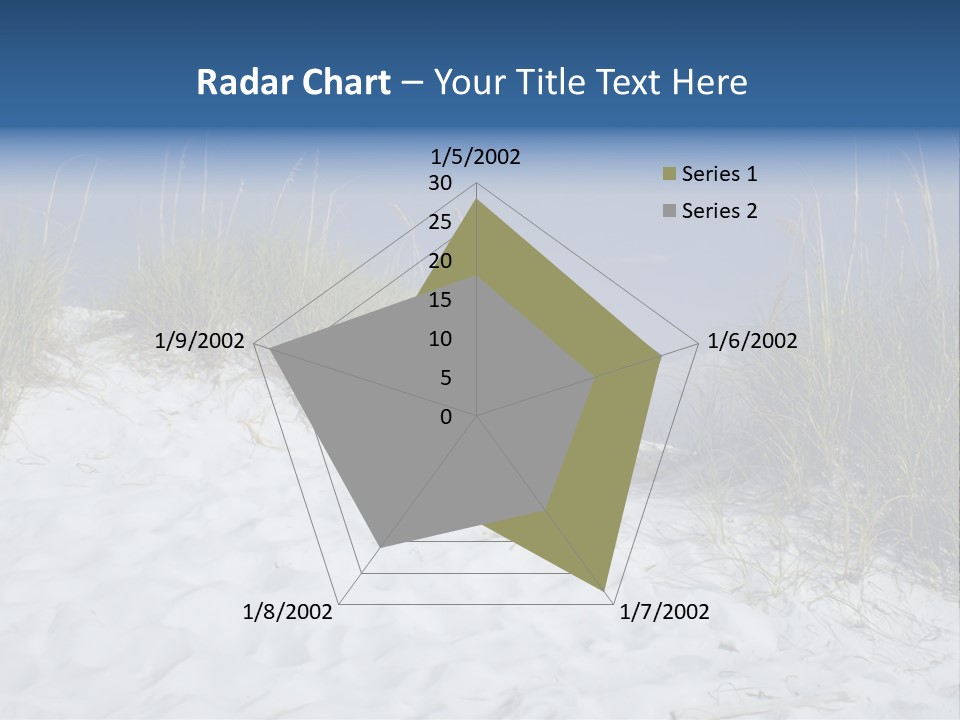 Sand Shore Florida PowerPoint Template