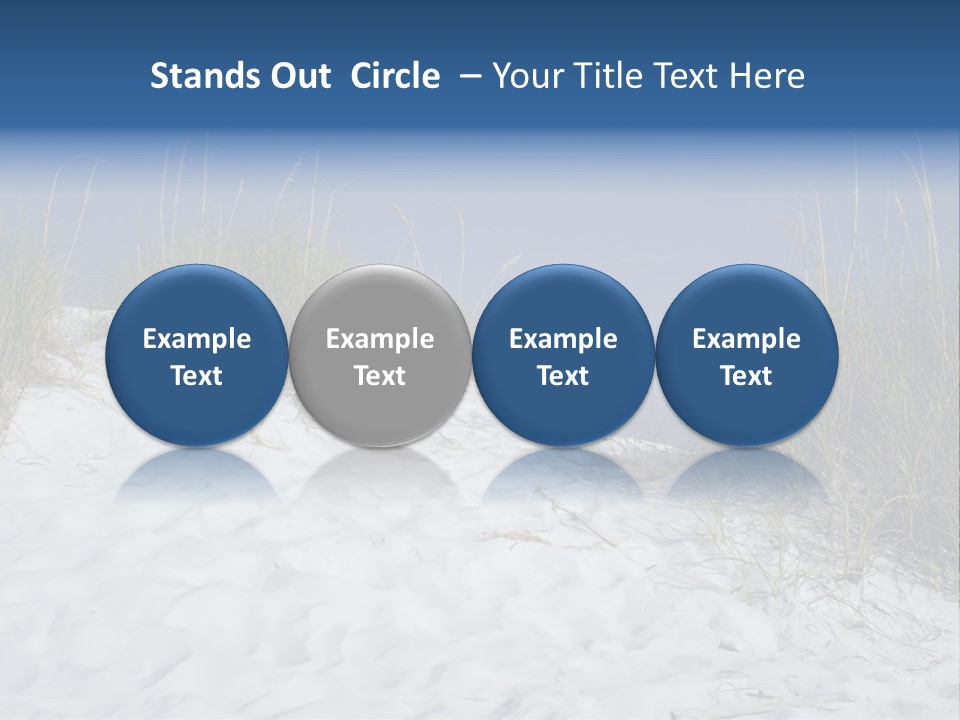 Sand Shore Florida PowerPoint Template