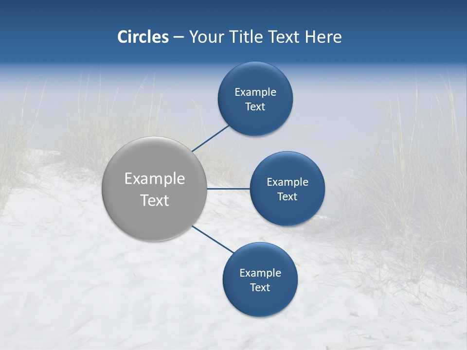 Sand Shore Florida PowerPoint Template