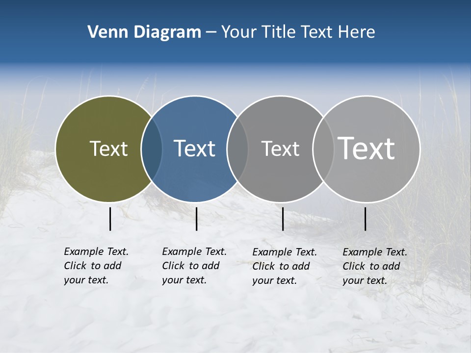 Sand Shore Florida PowerPoint Template