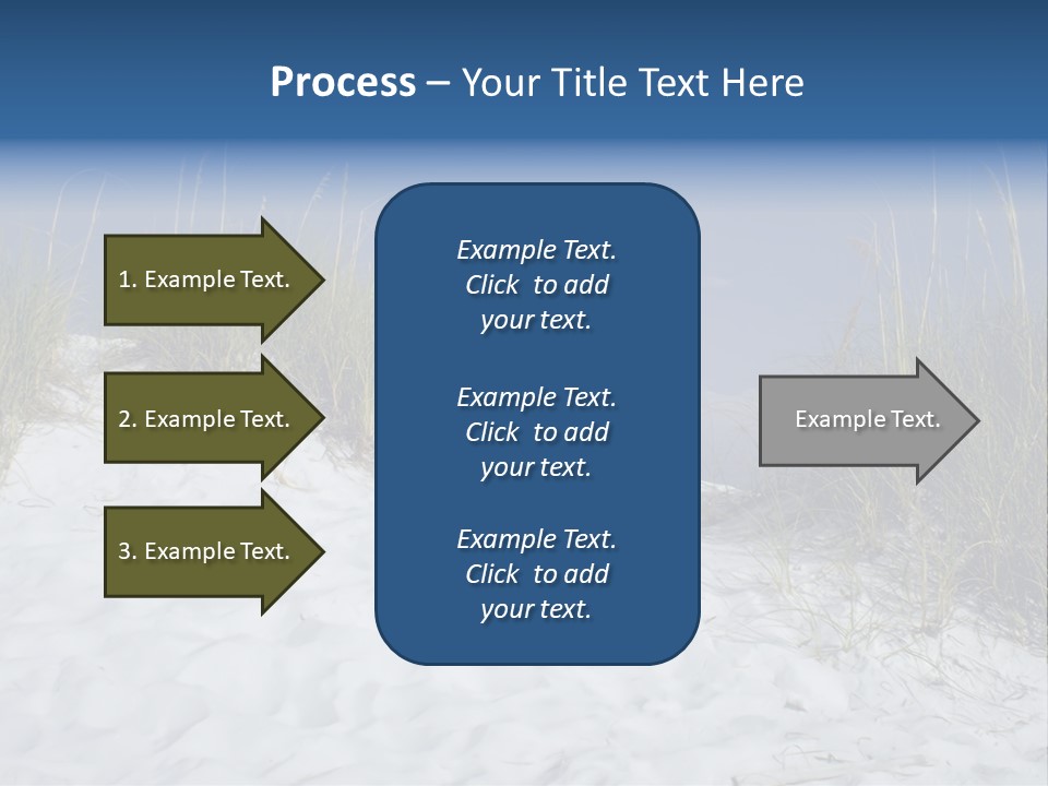 Sand Shore Florida PowerPoint Template