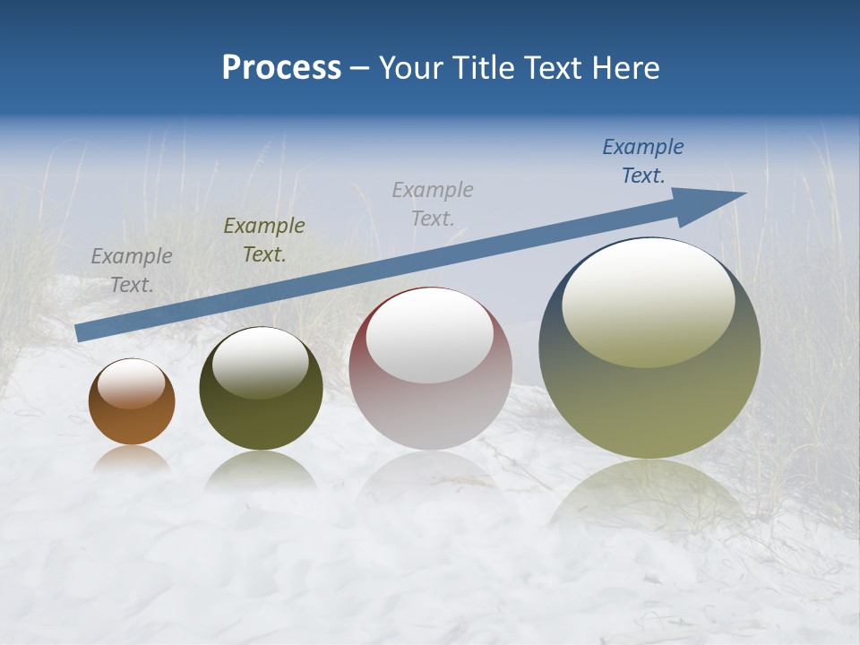 Sand Shore Florida PowerPoint Template