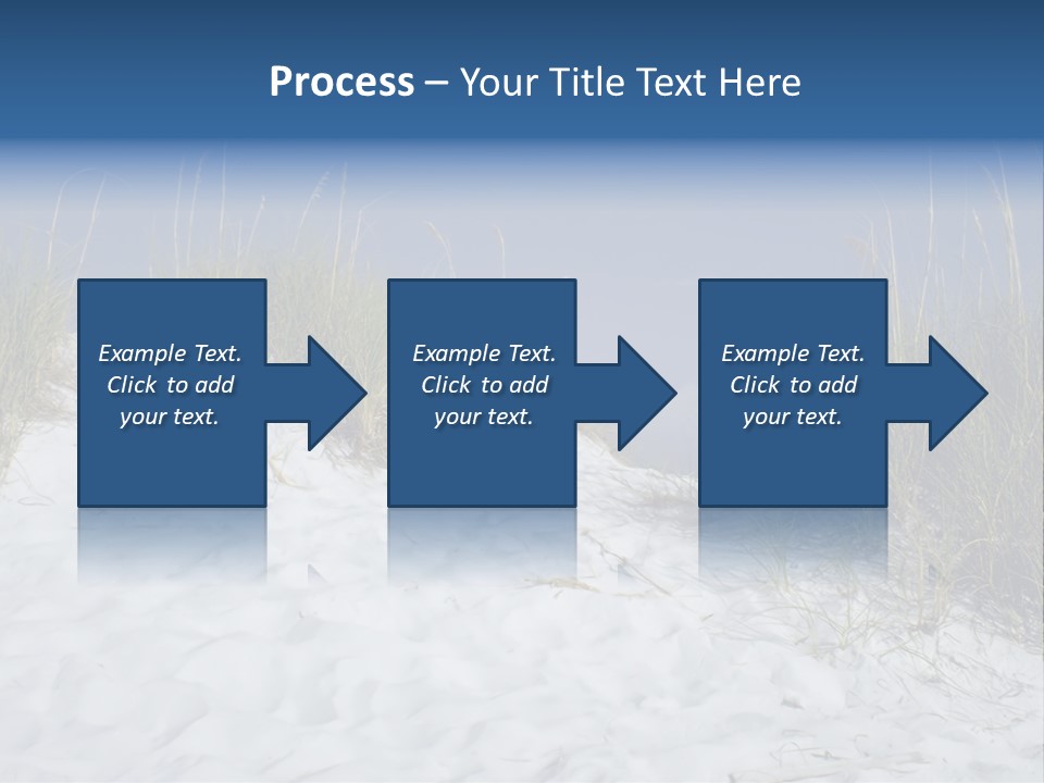 Sand Shore Florida PowerPoint Template