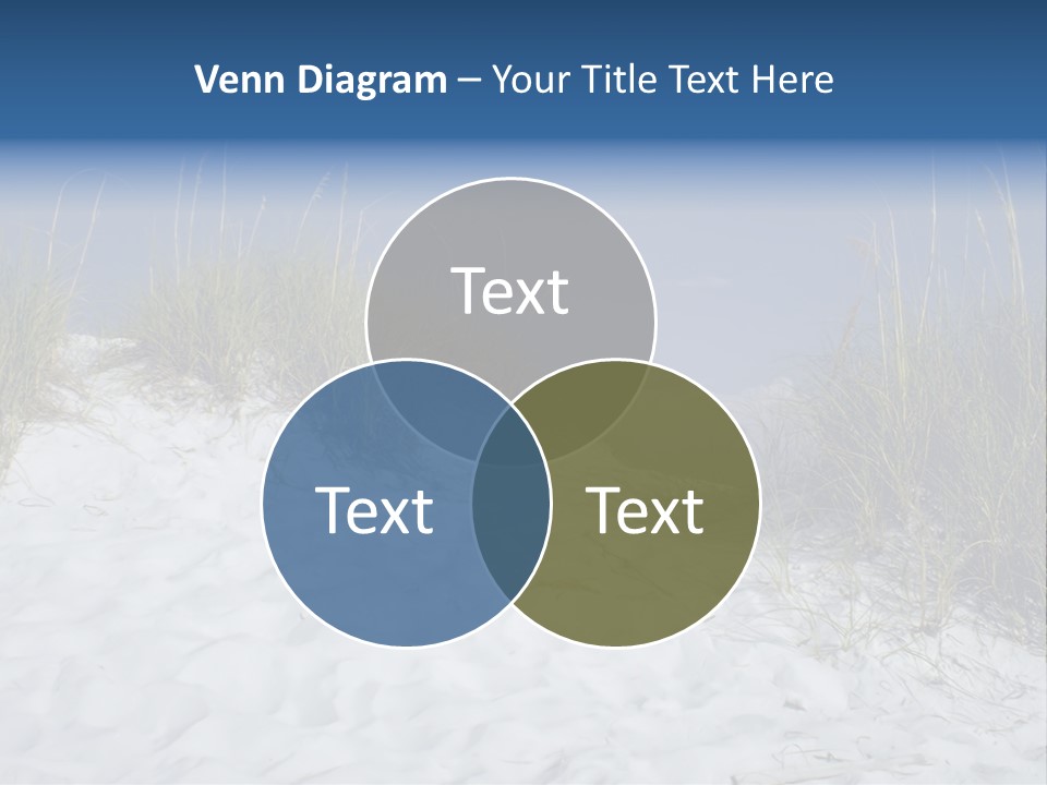 Sand Shore Florida PowerPoint Template