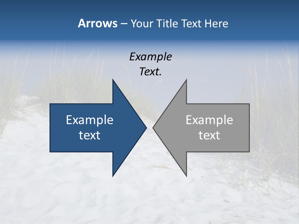 Sand Shore Florida PowerPoint Template