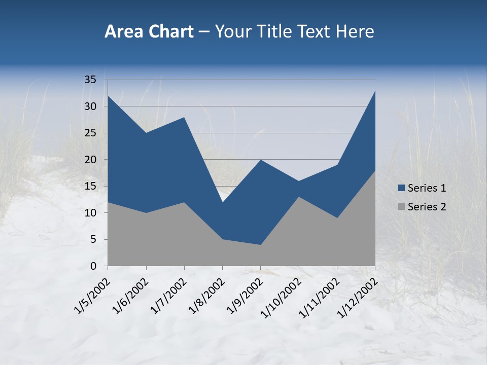 Sand Shore Florida PowerPoint Template