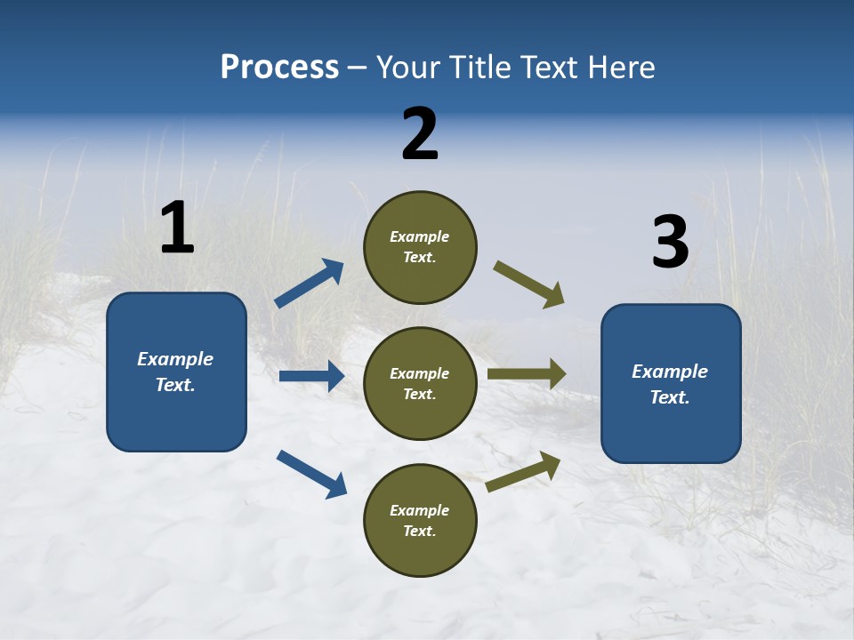 Sand Shore Florida PowerPoint Template