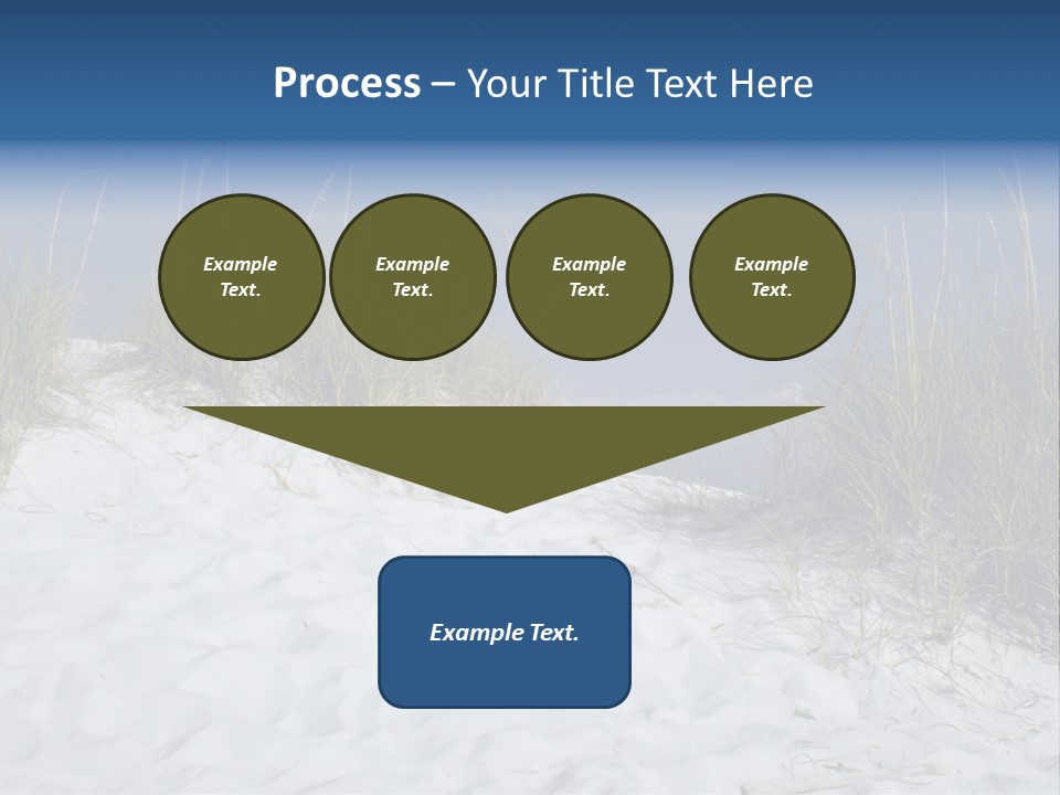 Sand Shore Florida PowerPoint Template