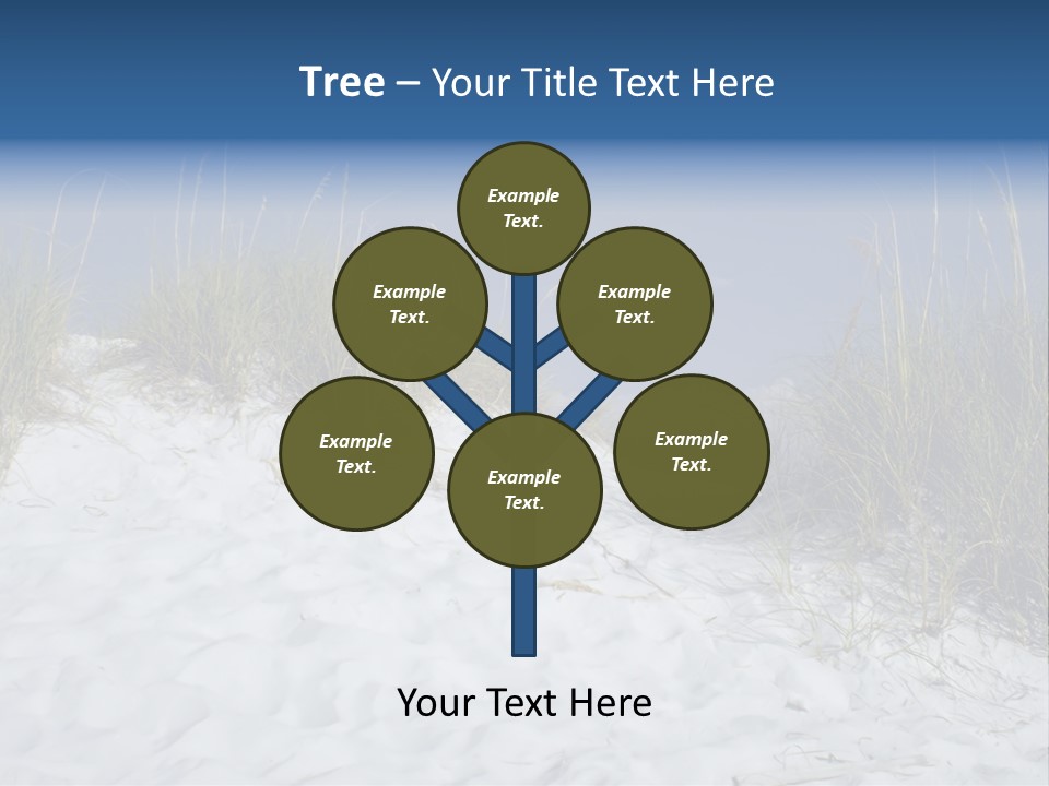 Sand Shore Florida PowerPoint Template