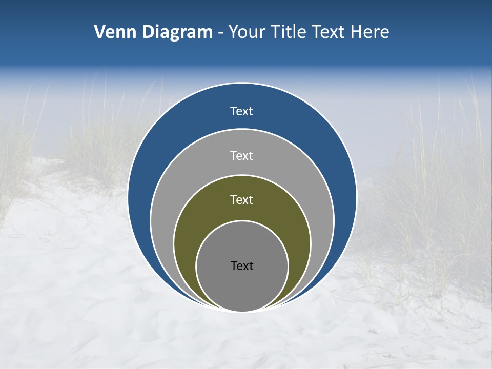 Sand Shore Florida PowerPoint Template