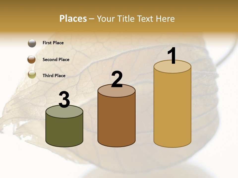 Background Waterlily Nelumbo_Nucifera PowerPoint Template