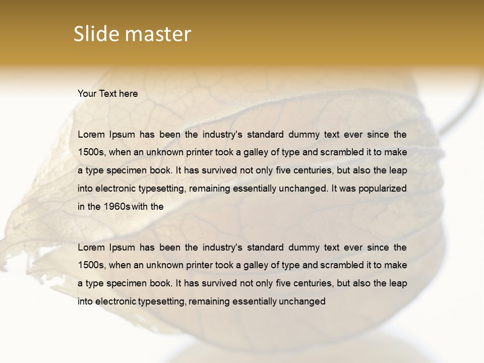 Background Waterlily Nelumbo_Nucifera PowerPoint Template