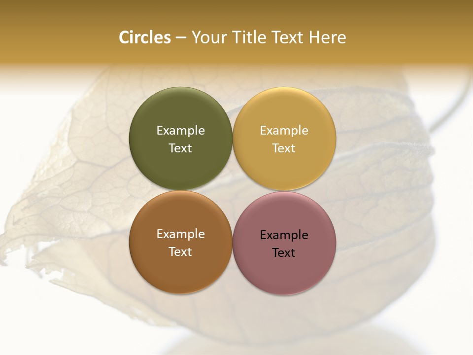 Background Waterlily Nelumbo_Nucifera PowerPoint Template