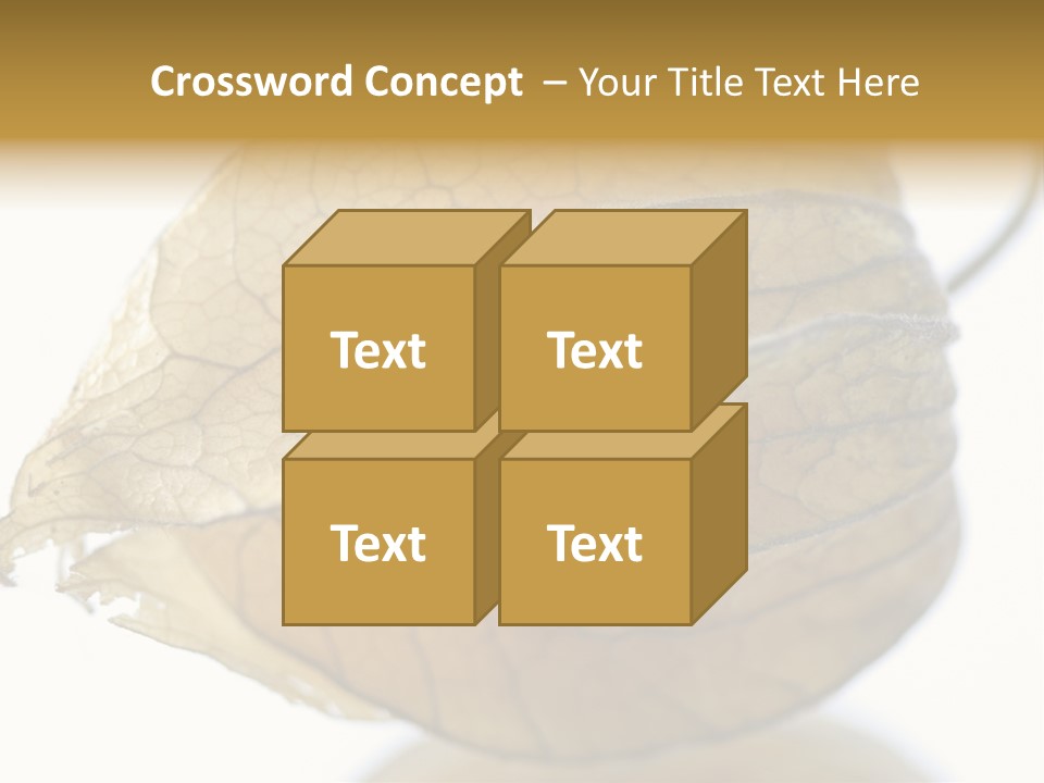 Background Waterlily Nelumbo_Nucifera PowerPoint Template