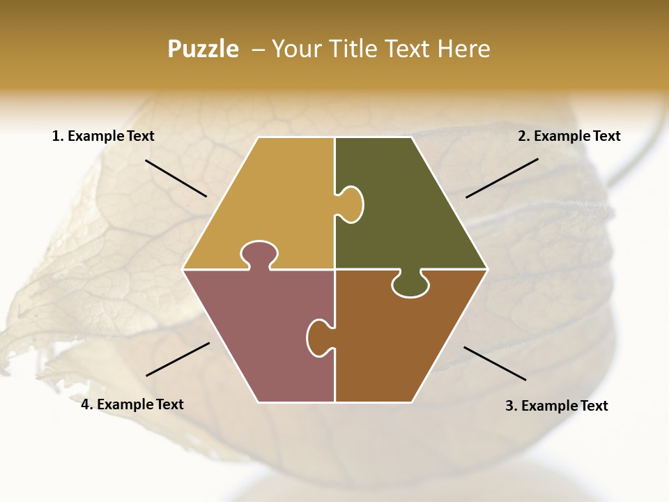 Background Waterlily Nelumbo_Nucifera PowerPoint Template