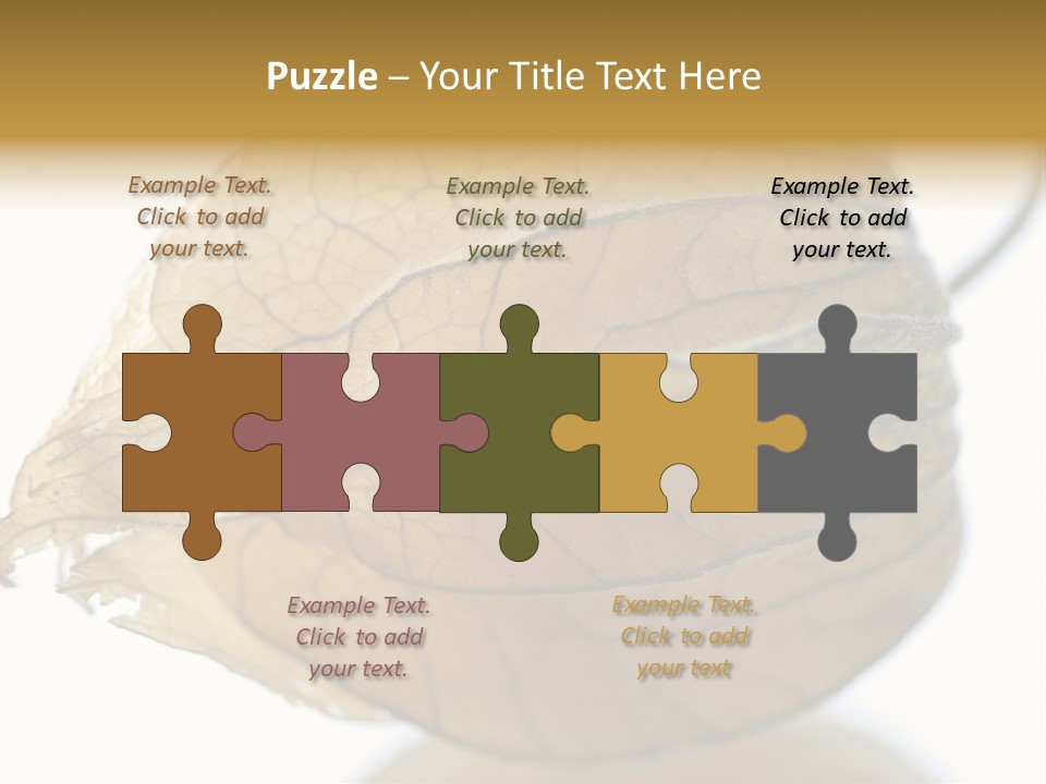 Background Waterlily Nelumbo_Nucifera PowerPoint Template