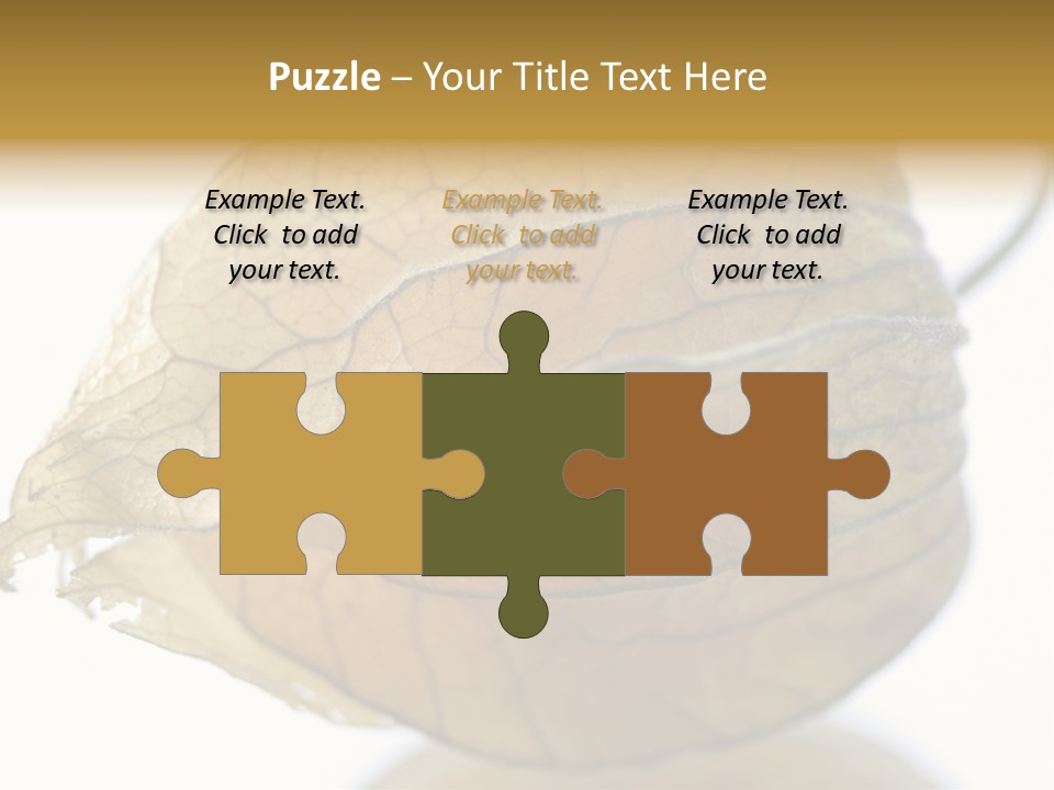 Background Waterlily Nelumbo_Nucifera PowerPoint Template