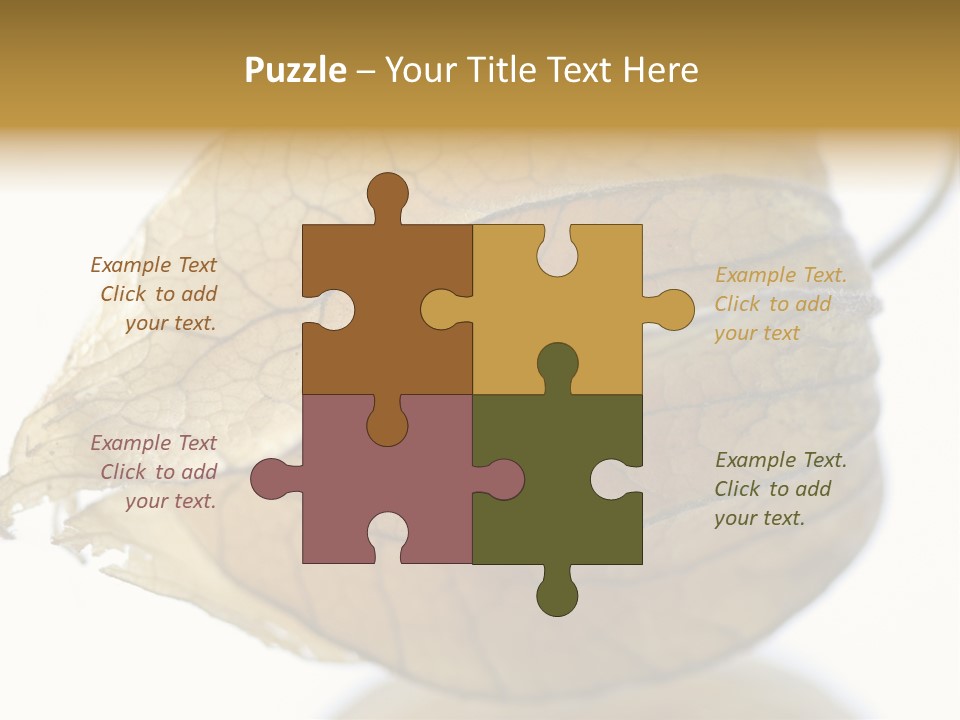 Background Waterlily Nelumbo_Nucifera PowerPoint Template