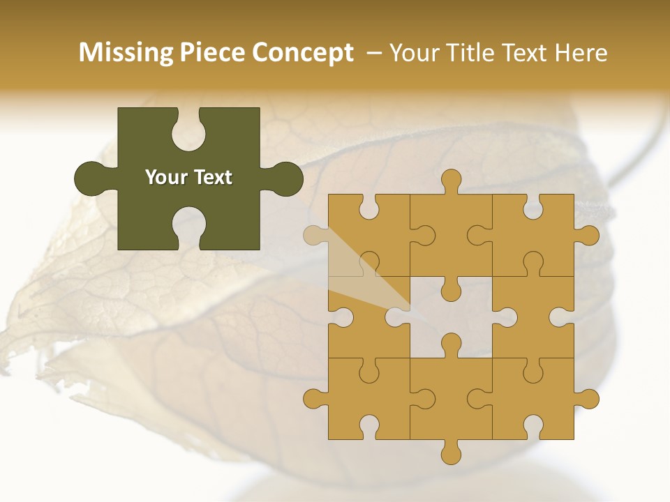 Background Waterlily Nelumbo_Nucifera PowerPoint Template