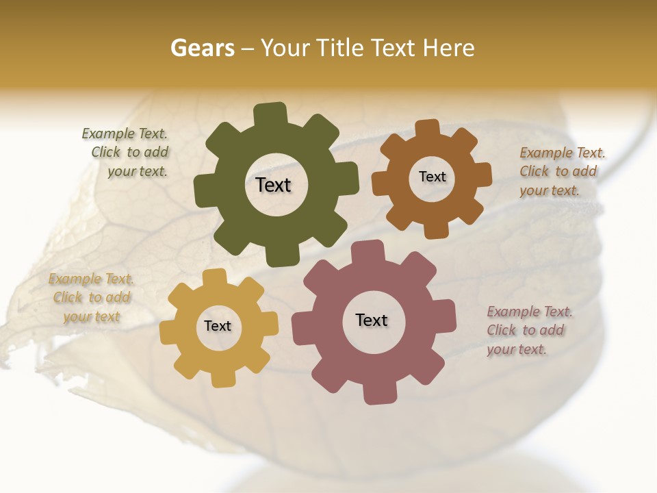 Background Waterlily Nelumbo_Nucifera PowerPoint Template