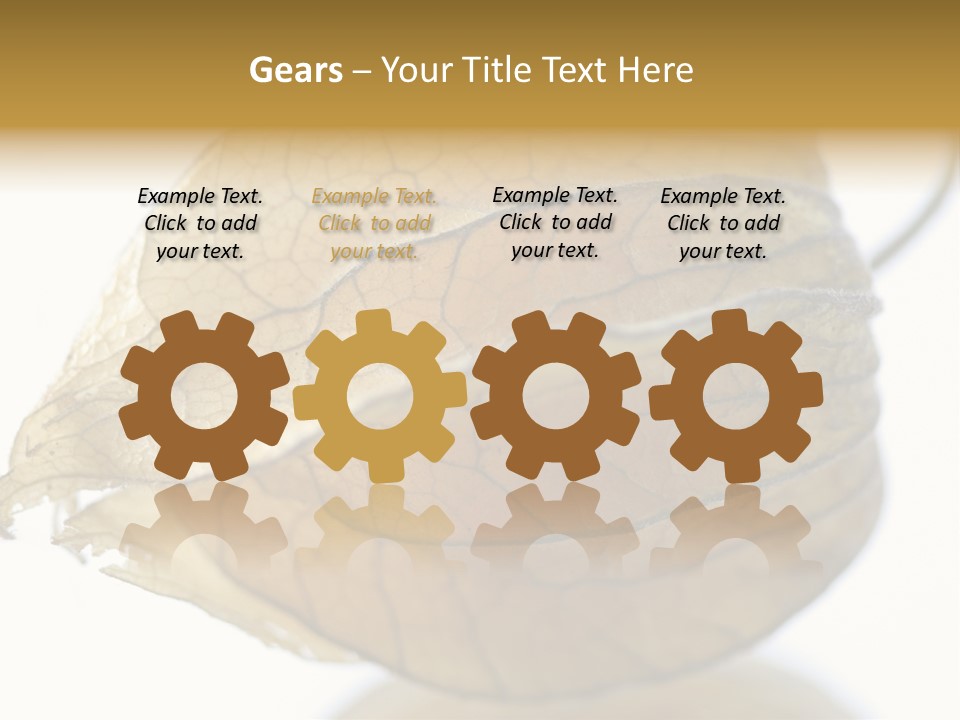 Background Waterlily Nelumbo_Nucifera PowerPoint Template